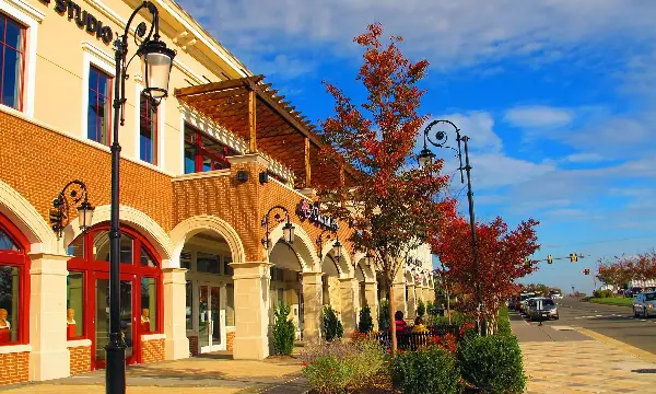 Virginia city image